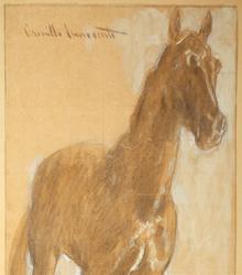 Caballo